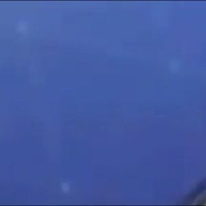 Meet your Posher, Grayson